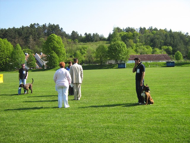 www.atibox.net * www.euroboxer.eu * www.boxergenealogia.eu